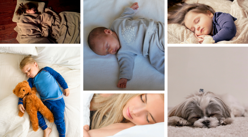 The Importance of Sleep for Child Development · Bonny Babes Childcare ...